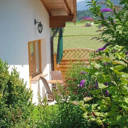 Apartment Aparthouse Tirol Reith Im Alpbachtal Appartement Münster