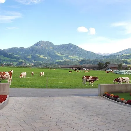 Apartment Aparthouse Tirol Reith Im Alpbachtal Münster