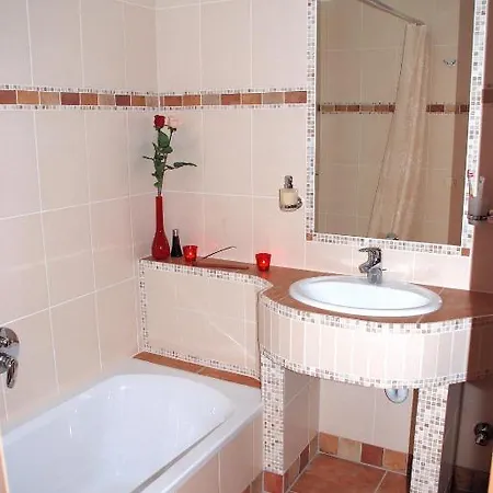 Apartment Aparthouse Tirol Reith Im Alpbachtal Appartement