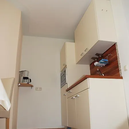 Appartement Apartment Aparthouse Tirol Reith Im Alpbachtal *